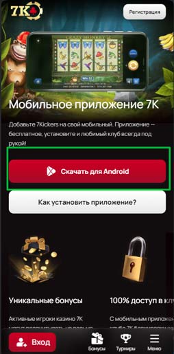 Мобильное приложение